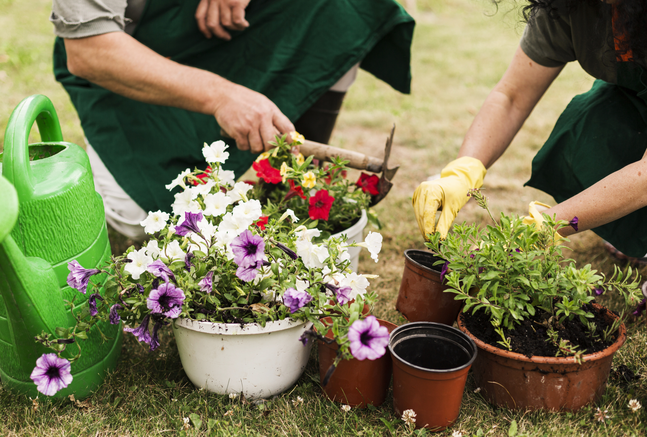 Espace de jardinage collectif